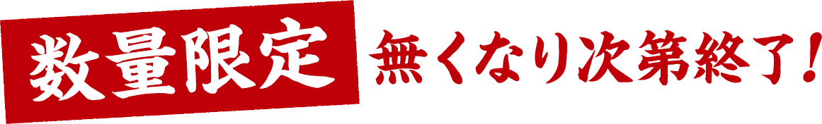 数量限定無くなり次第終了!